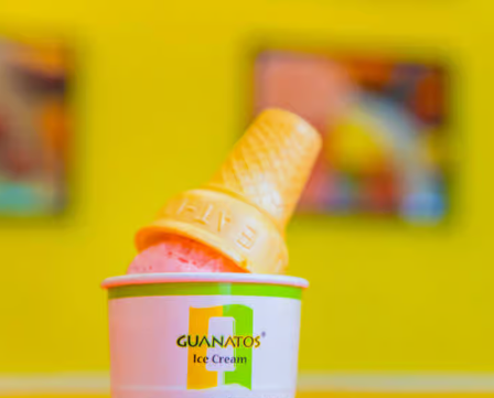 Ice Cream Cake Cone