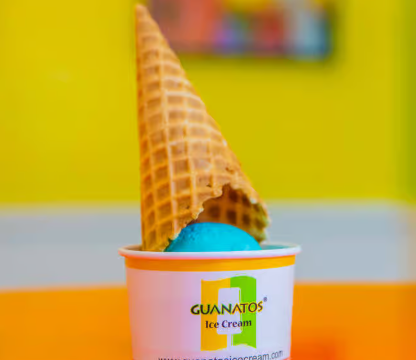 Ice Cream Waffle