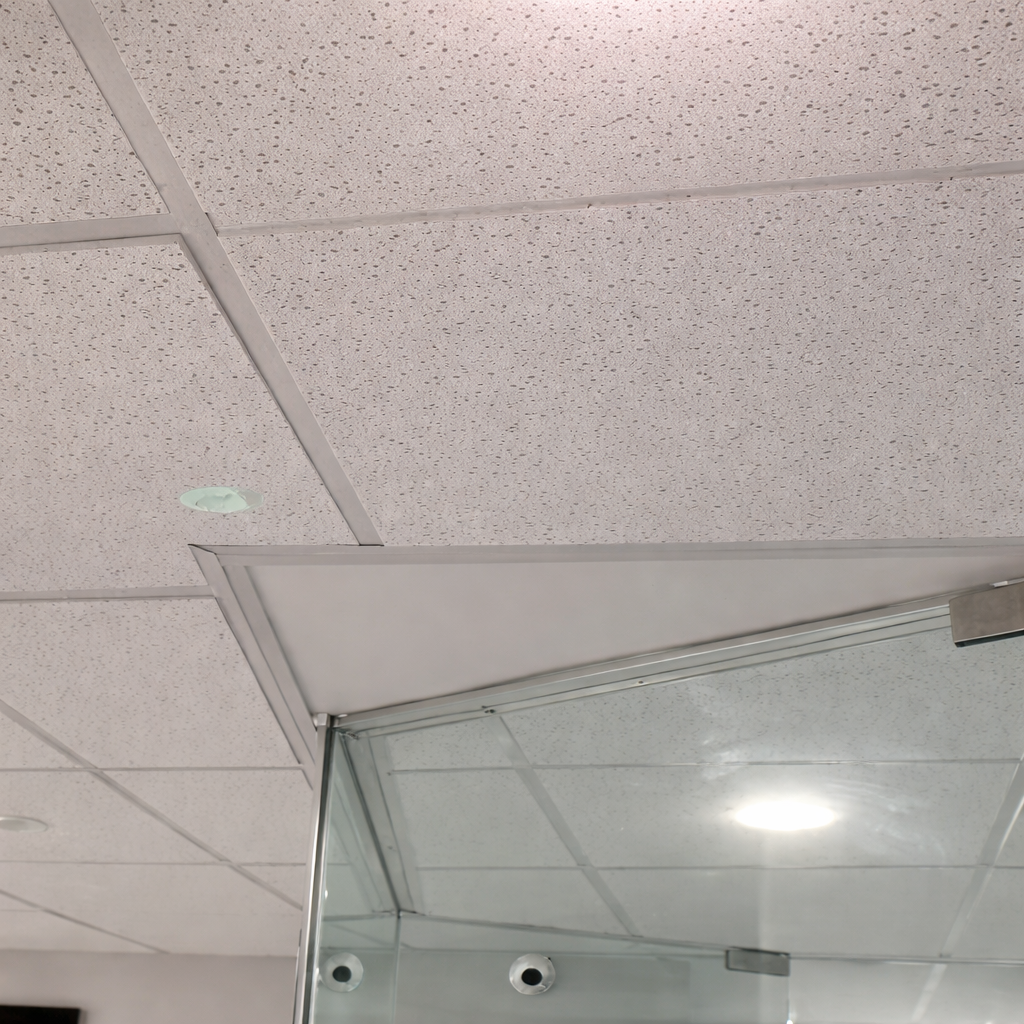 Acoustic Ceiling Repair